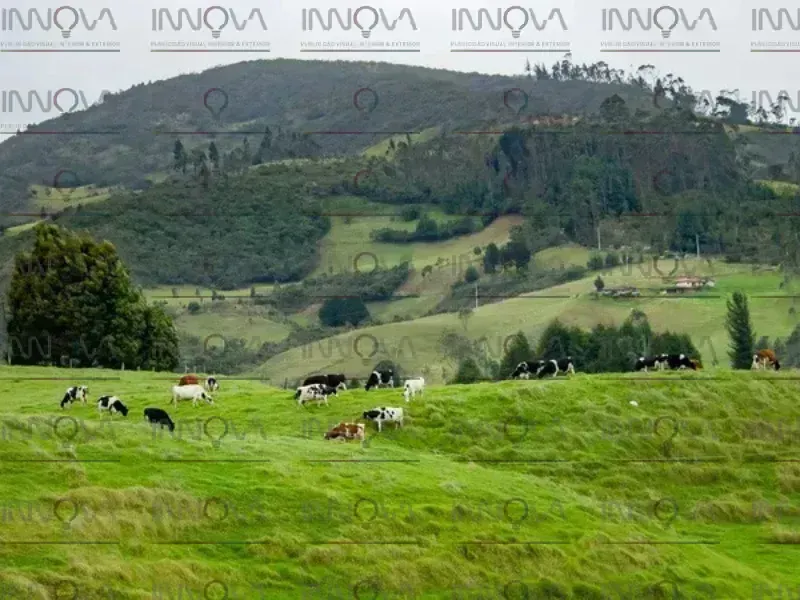 AUDIOVISUAL - DRONE - Imagen 7
