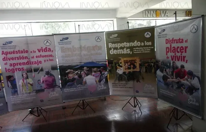 EXHIBICION PORTATIL - BACKINGS - Imagen 2