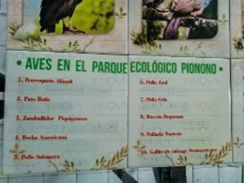 Imagen 1
