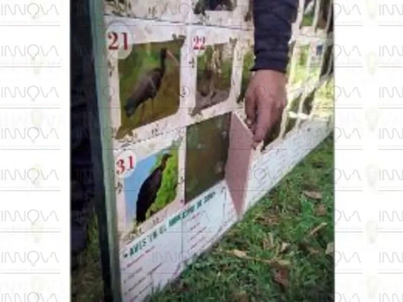 Imagen 5