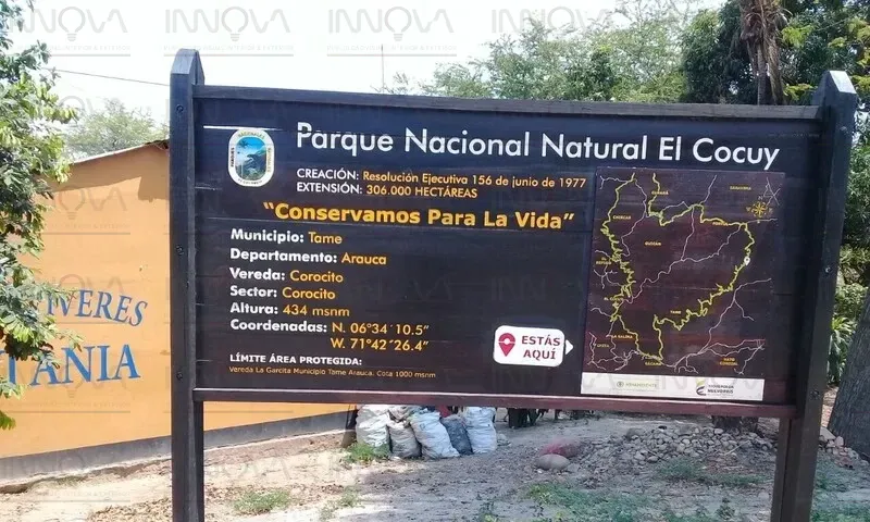 Imagen 5
